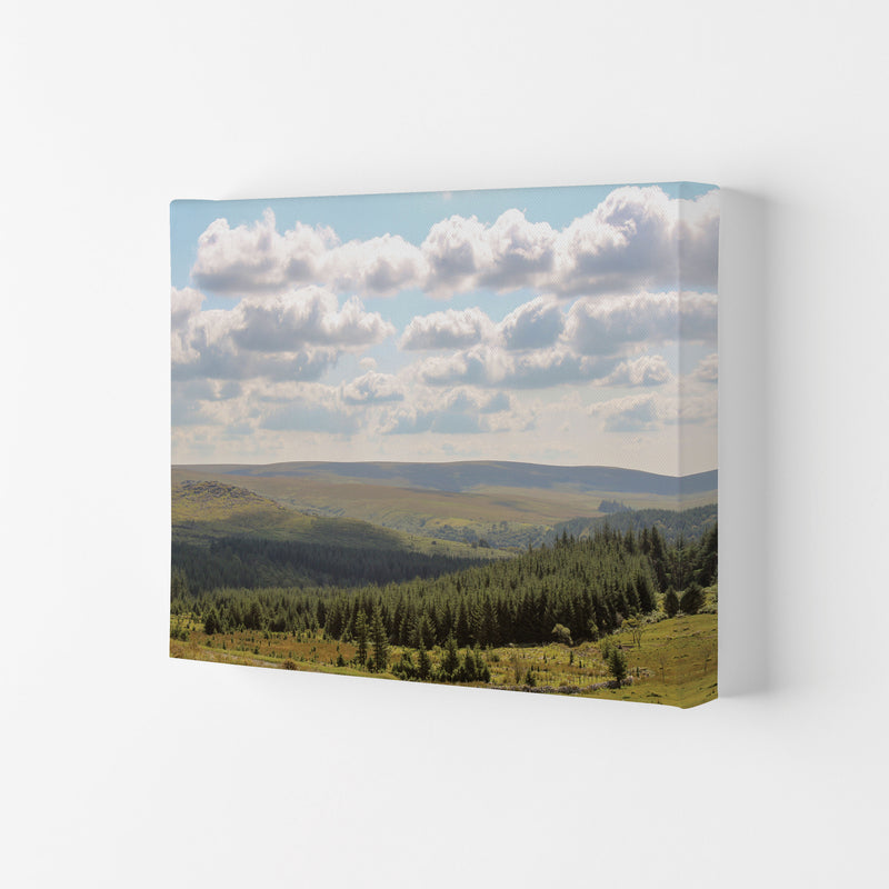 Dartmoor, 2021 Art Print by Proper Job Studio Canvas