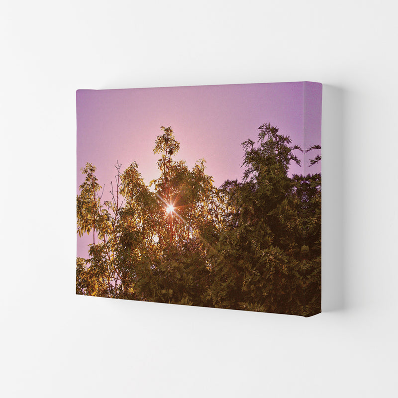 Blush Sunrise Art Print by Proper Job Studio Canvas