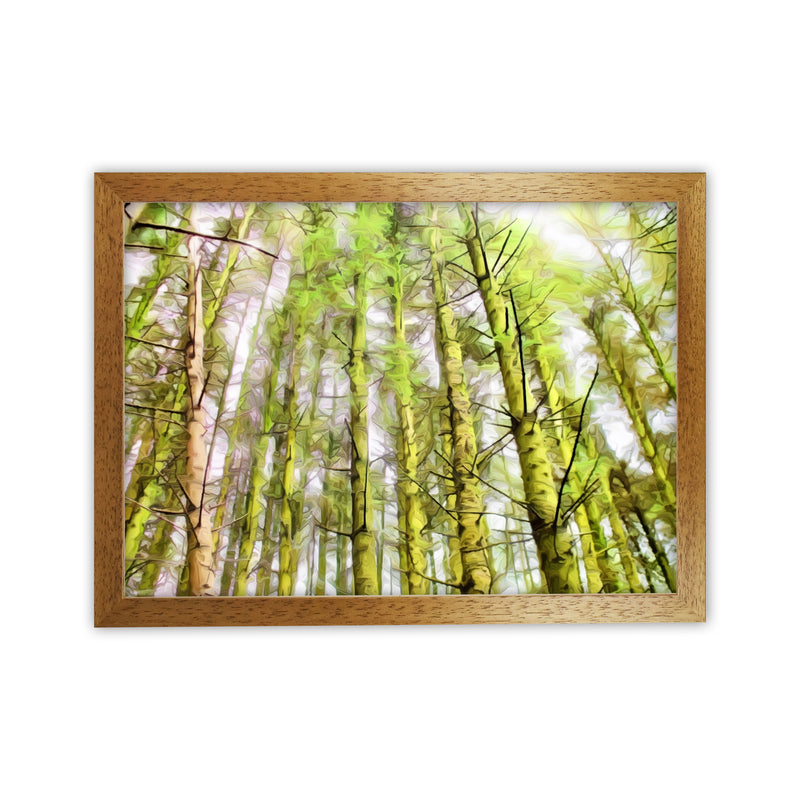 Woodland Oak Grain