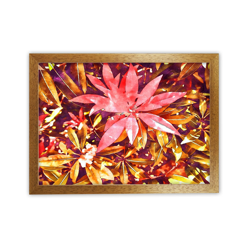 Autumnal flowers Oak Grain