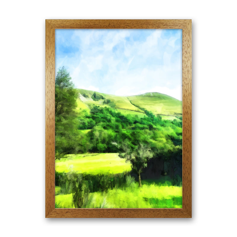 Snowdonia by Day Art Print by Proper Job Studio Oak Grain