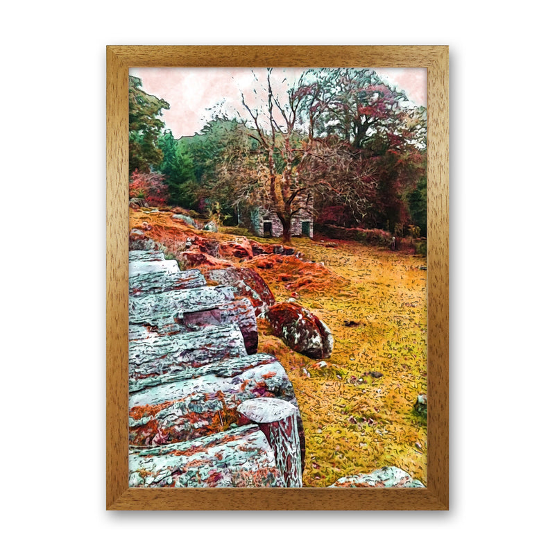 House on Dartmoor Art Print by Proper Job Studio Oak Grain