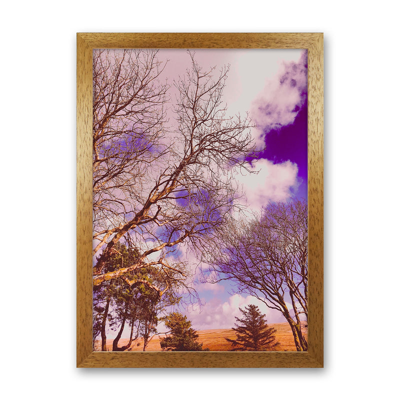 Pink Dartmoor Art Print by Proper Job Studio Oak Grain