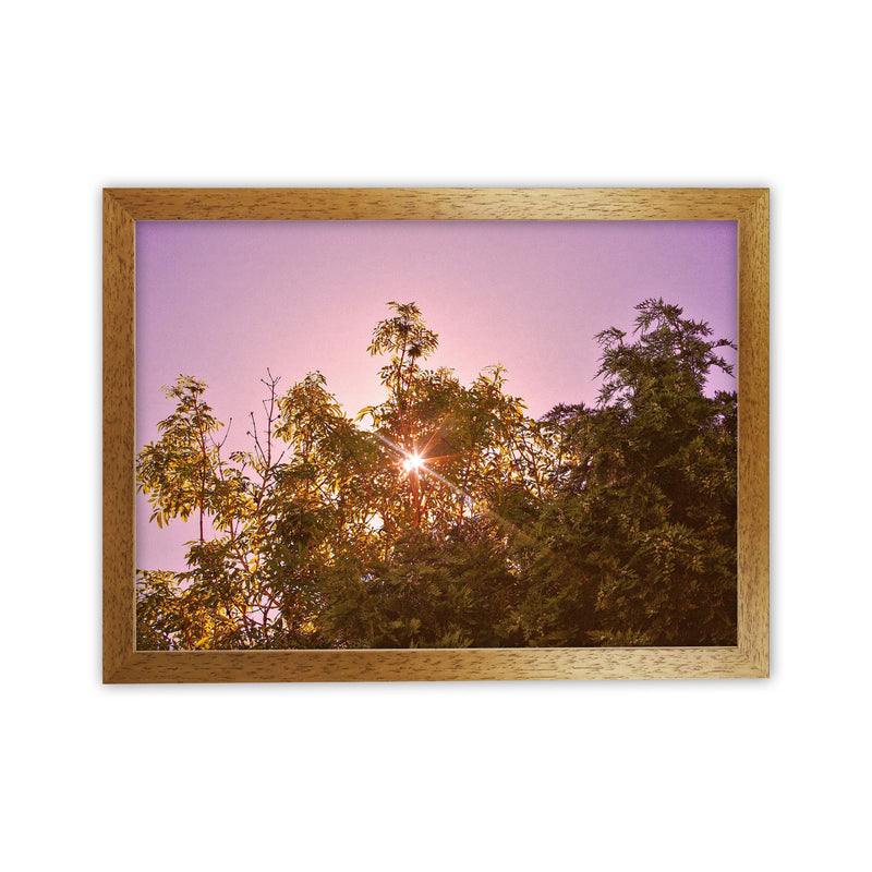 Blush Sunrise Art Print by Proper Job Studio Oak Grain