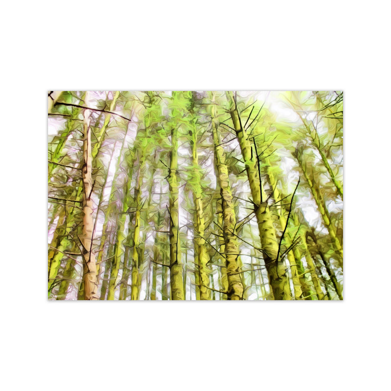 Woodland Print Only