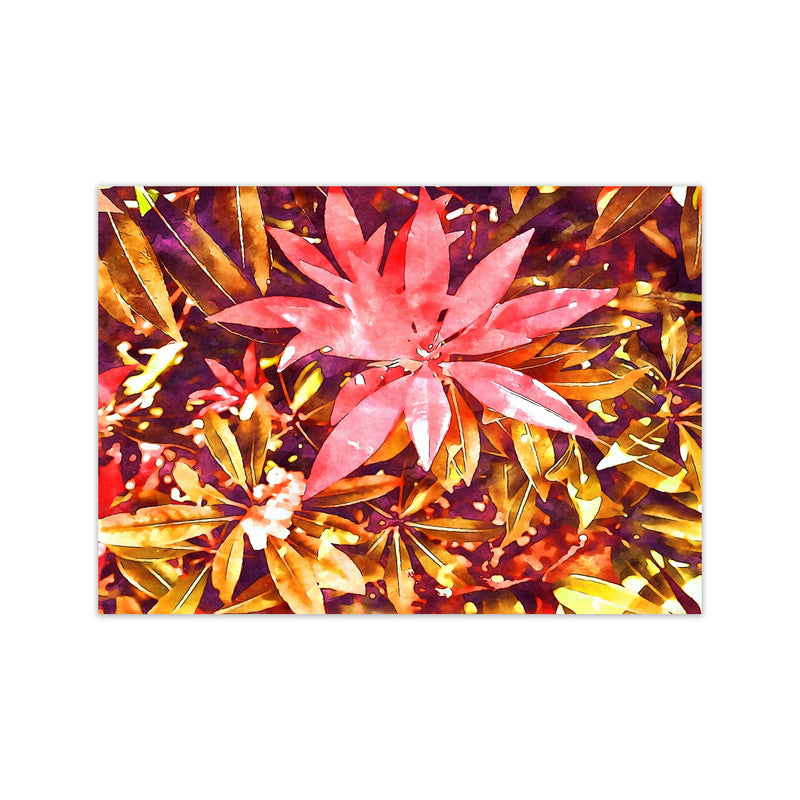 Autumnal flowers Print Only