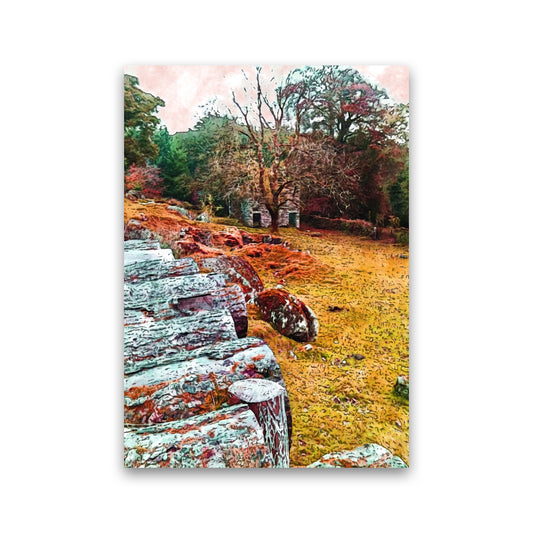 House on Dartmoor Art Print by Proper Job Studio Print Only