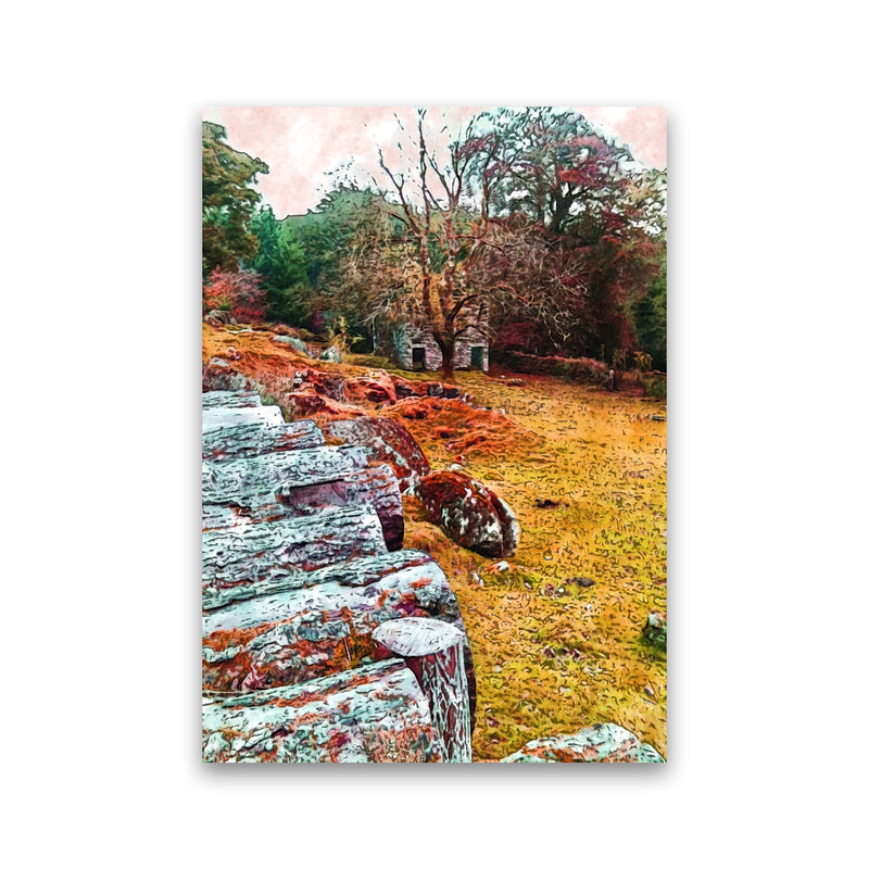 House on Dartmoor Art Print by Proper Job Studio Print Only