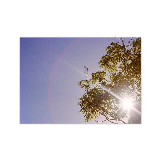 Summer haze Art Print by Proper Job Studio Print Only