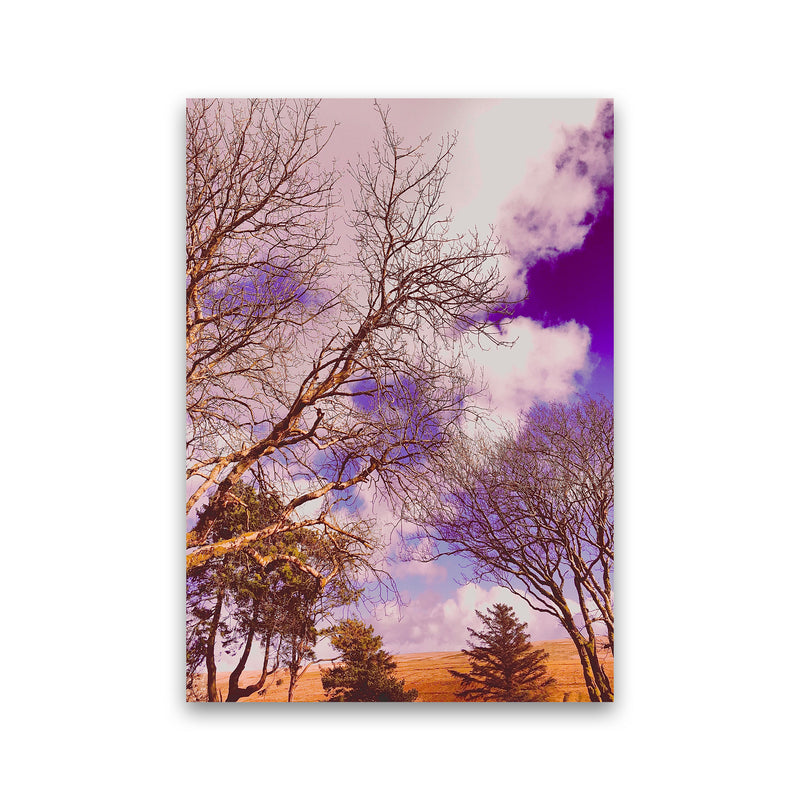 Pink Dartmoor Art Print by Proper Job Studio Print Only