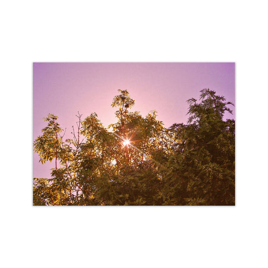 Blush Sunrise Art Print by Proper Job Studio Print Only
