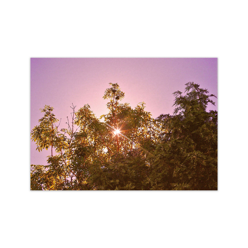 Blush Sunrise Art Print by Proper Job Studio Print Only