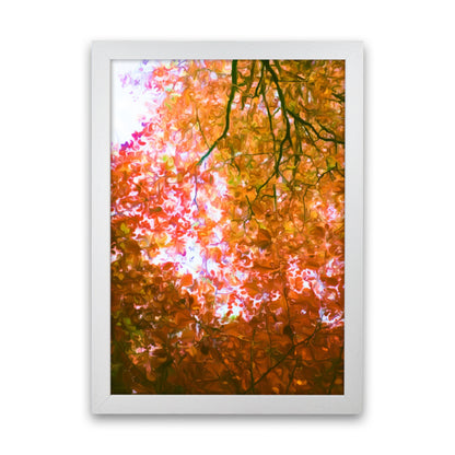 Autumn Leaves White Grain
