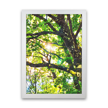 Sun through green leaves White Grain