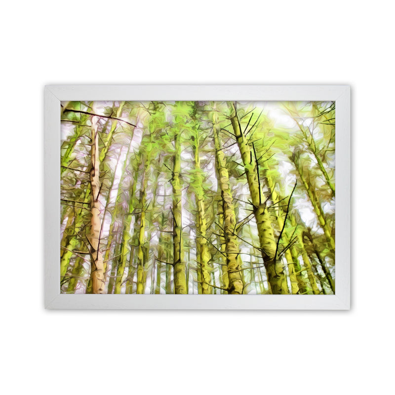 Woodland White Grain