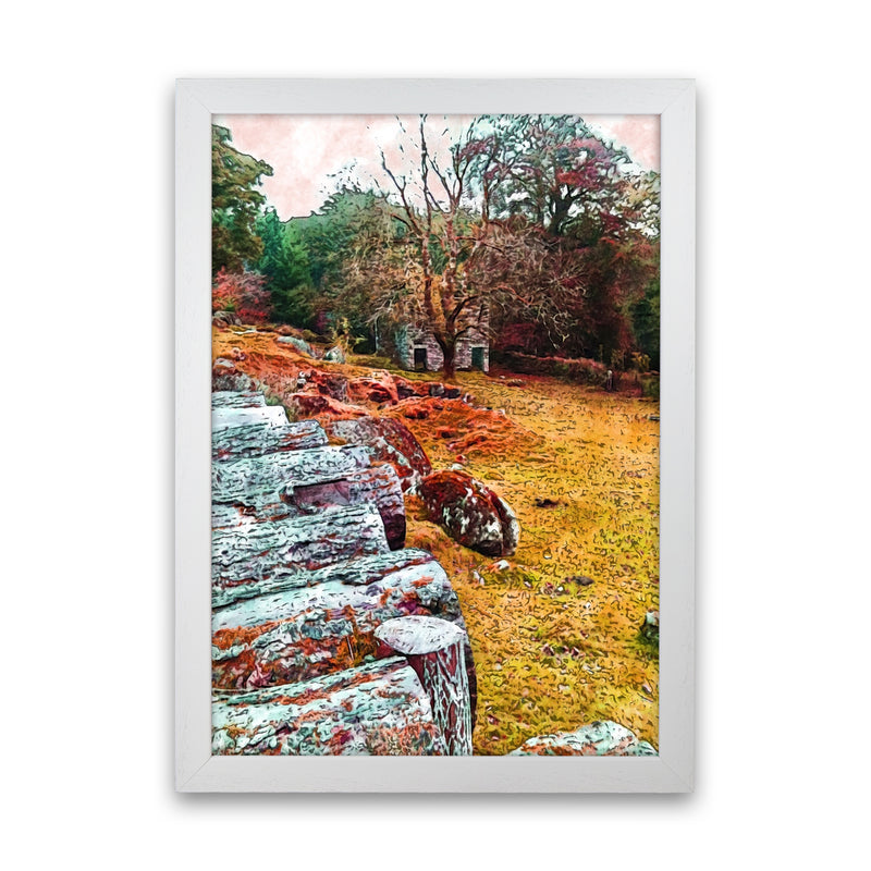 House on Dartmoor Art Print by Proper Job Studio White Grain