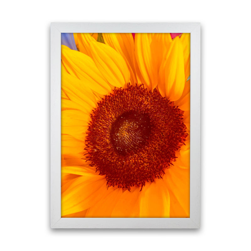 Sunflower Art Print by Proper Job Studio White Grain