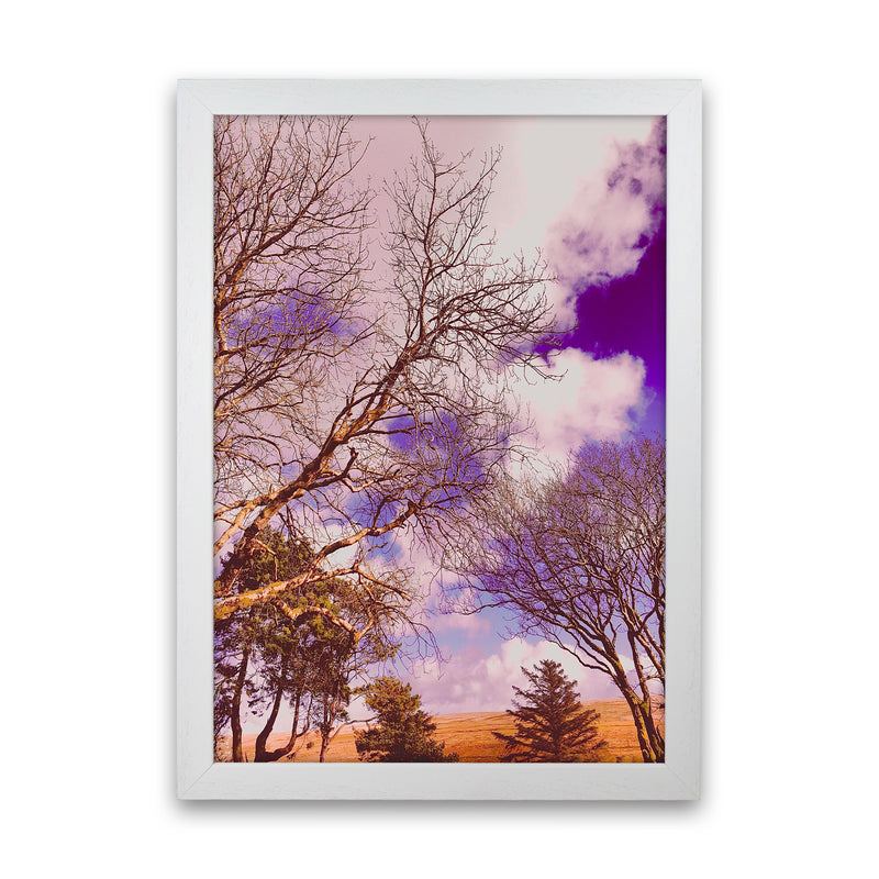 Pink Dartmoor Art Print by Proper Job Studio White Grain