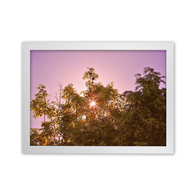 Blush Sunrise Art Print by Proper Job Studio White Grain