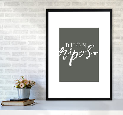 Buon Riposo Pewtergreen Color By Planeta444 A1 White Frame