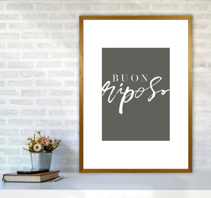 Buon Riposo Pewtergreen Color By Planeta444 A1 Print Only