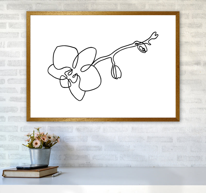 Orchid By Planeta444 A1 Print Only