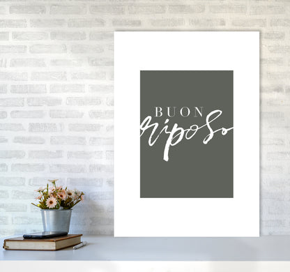 Buon Riposo Pewtergreen Color By Planeta444 A1 Black Frame