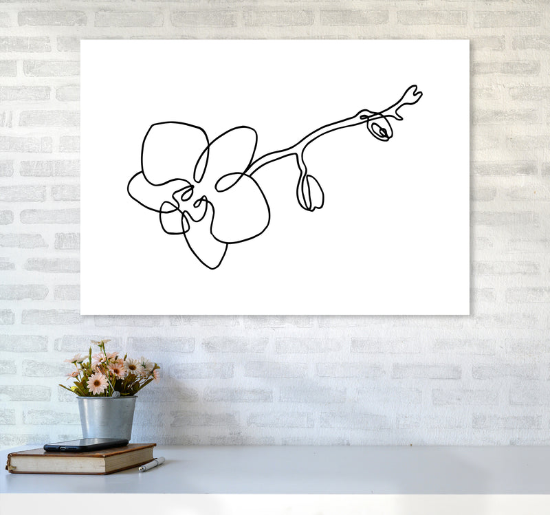 Orchid By Planeta444 A1 Black Frame