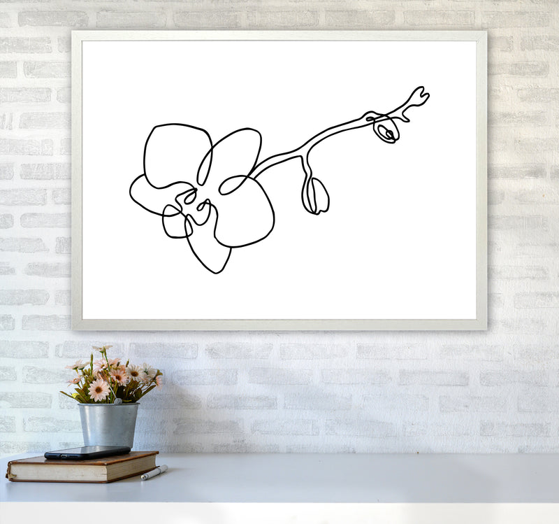 Orchid By Planeta444 A1 Oak Frame