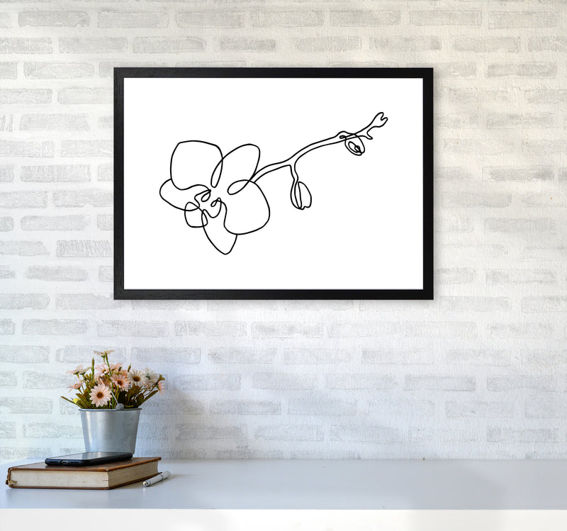 Orchid By Planeta444 A2 White Frame