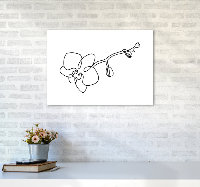 Orchid By Planeta444 A2 Black Frame