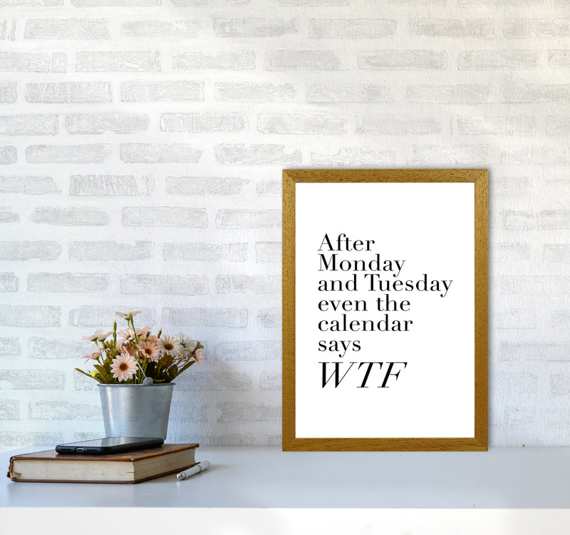 After Monday And Tuesday Wtf By Planeta444 A3 Print Only