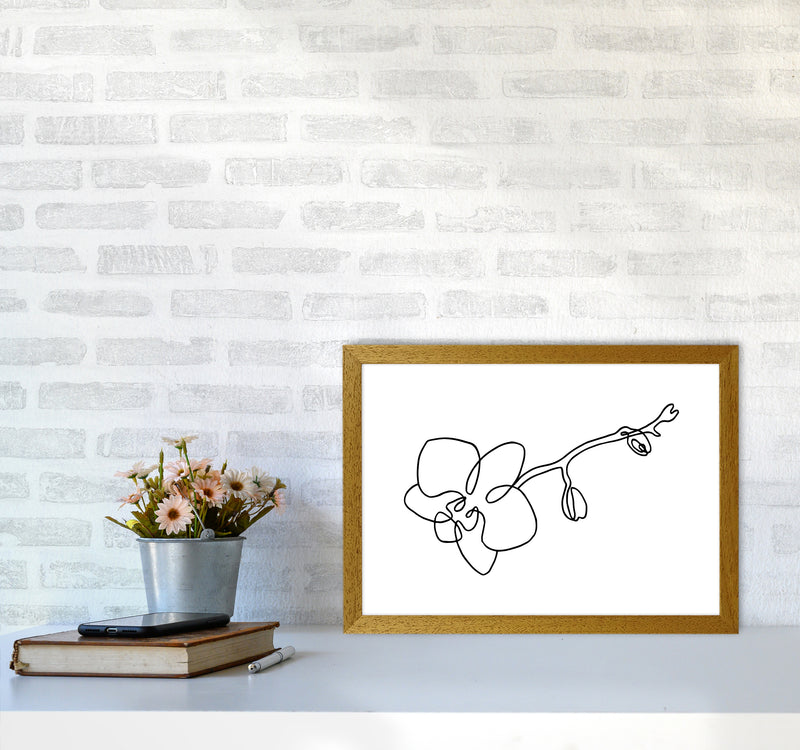 Orchid By Planeta444 A3 Print Only