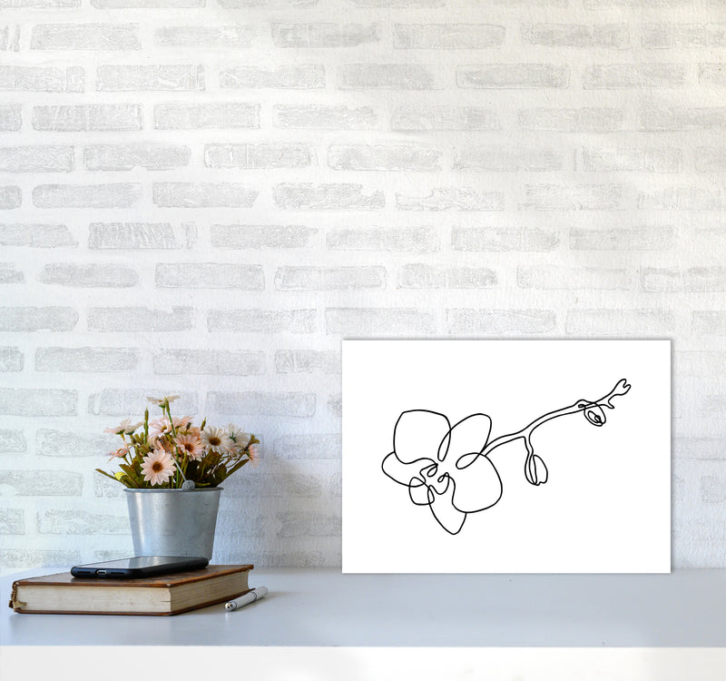 Orchid By Planeta444 A3 Black Frame