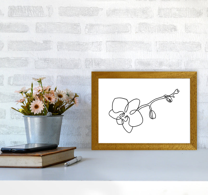 Orchid By Planeta444 A4 Print Only