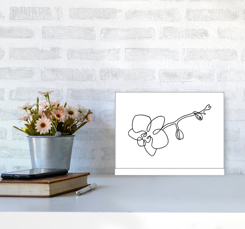 Orchid By Planeta444 A4 Black Frame