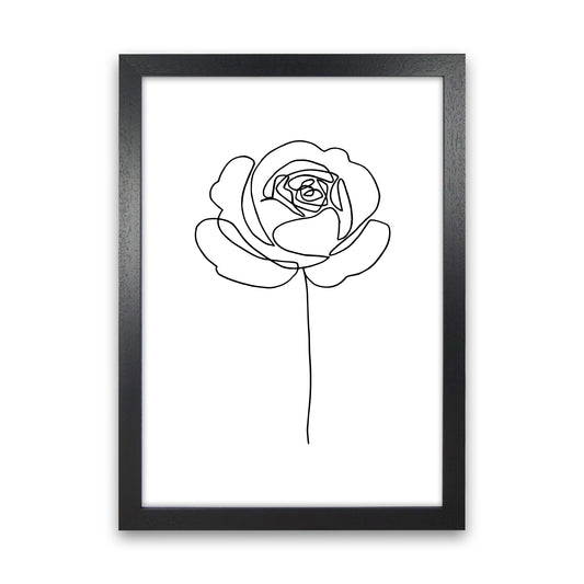Rose1 By Planeta444 Black Grain