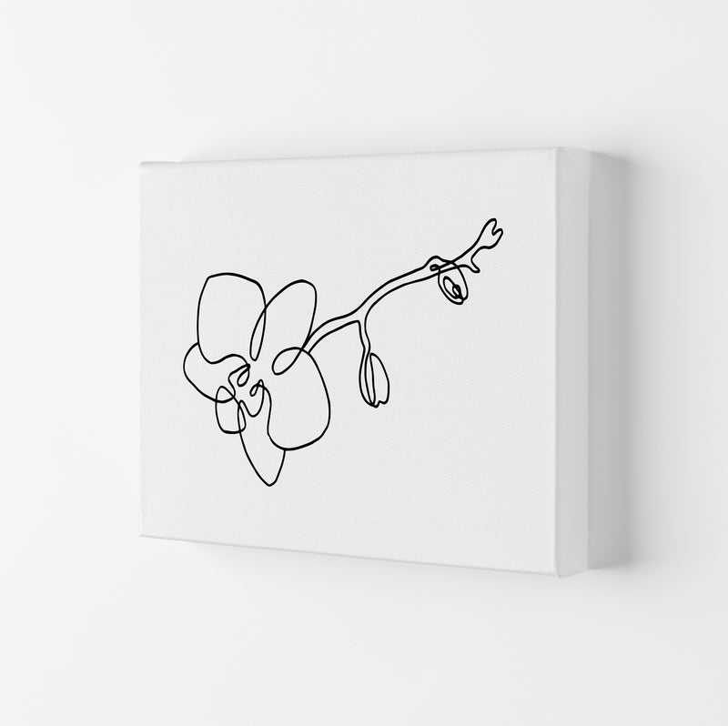 Orchid By Planeta444 Canvas