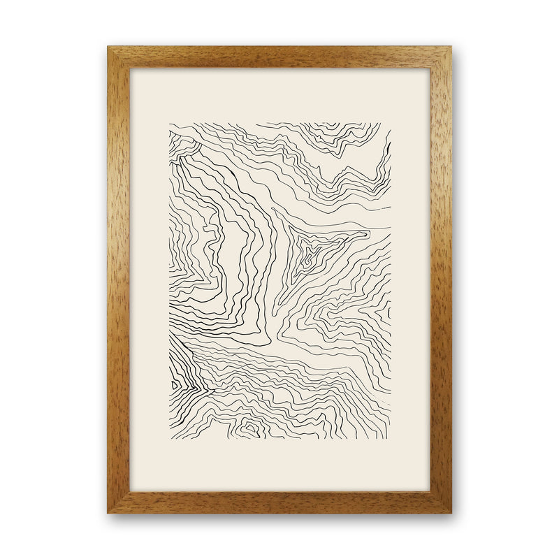 Organic Marble By Planeta444 Oak Grain