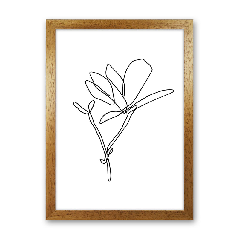 Japanese Magnolia By Planeta444 Oak Grain