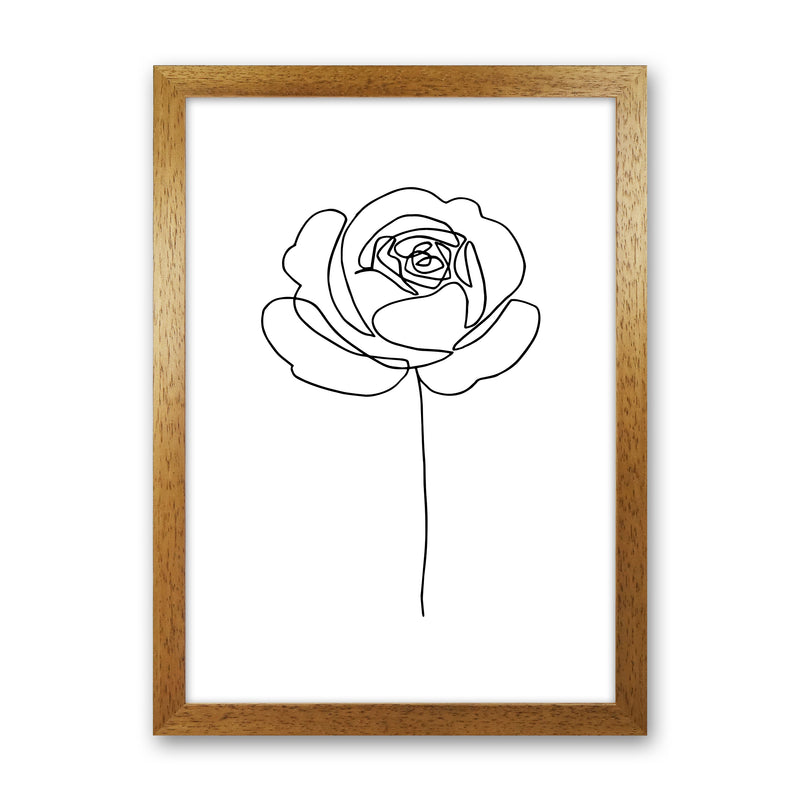 Rose1 By Planeta444 Oak Grain