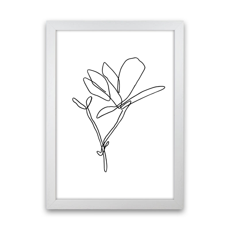 Japanese Magnolia By Planeta444 White Grain