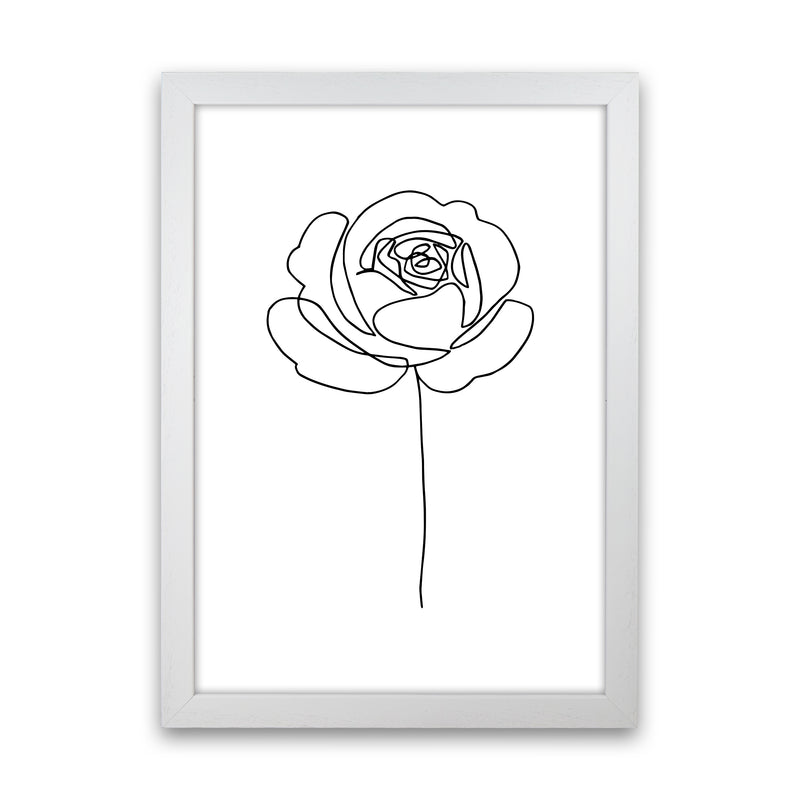 Rose1 By Planeta444 White Grain