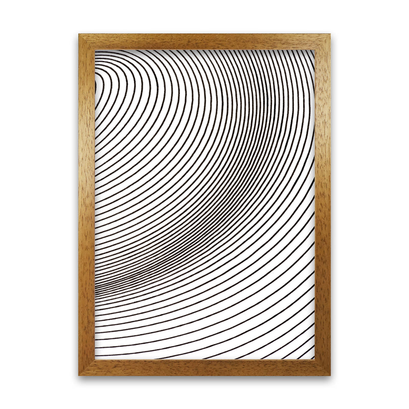 Black and White Line Drawing Oak Grain