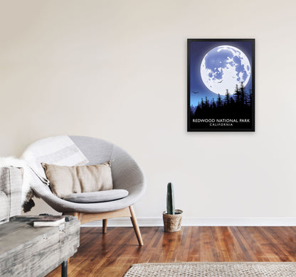 Redwood National Park California Travel Art Print by Richard O'Neill A2 White Frame