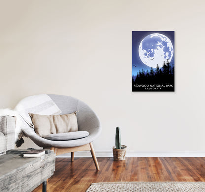 Redwood National Park California Travel Art Print by Richard O'Neill A2 Black Frame