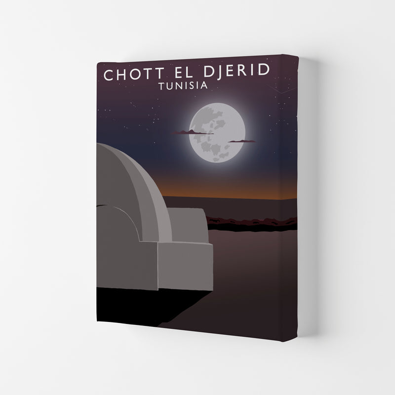 Chott El Djerid Tunisia Art Print by Richard O'Neill Canvas