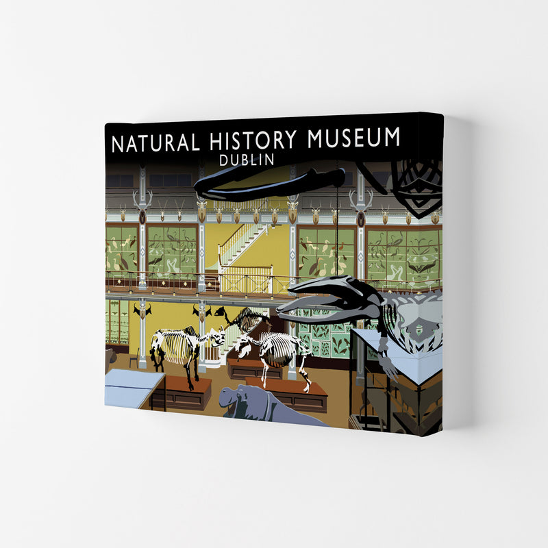 Natural History Museum Dublin Art Print by Richard O'Neill, Framed Wall Art Canvas