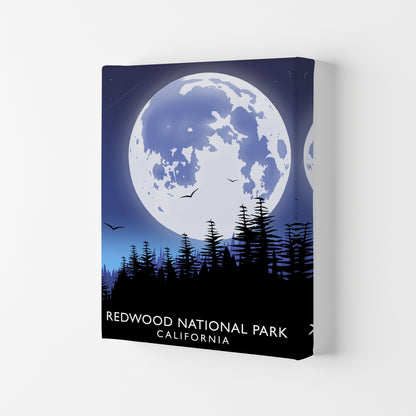 Redwood National Park California Travel Art Print by Richard O'Neill Canvas