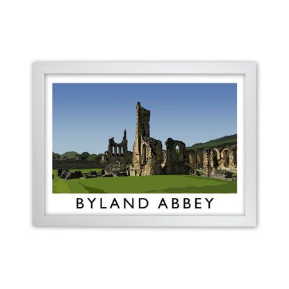 Byland Abbey by Richard O'Neill White Grain